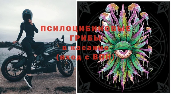 прущая мука Арсеньев