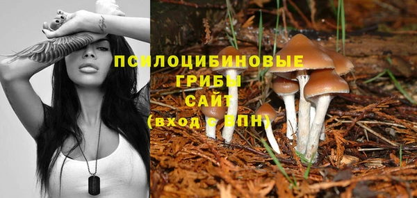 спайс Аркадак