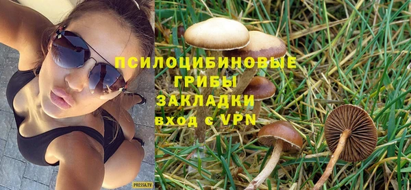 прущая мука Арсеньев