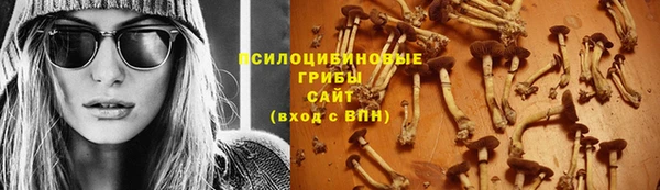 спайс Аркадак