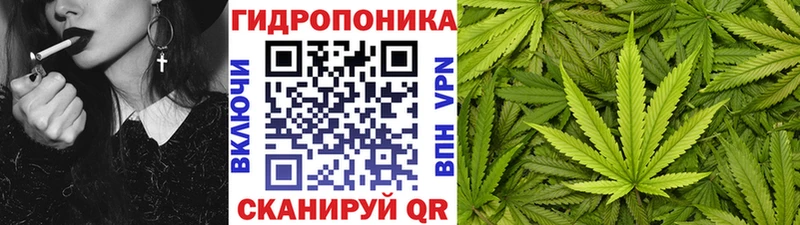 Конопля MAZAR  купить наркотики сайты  Кондопога 